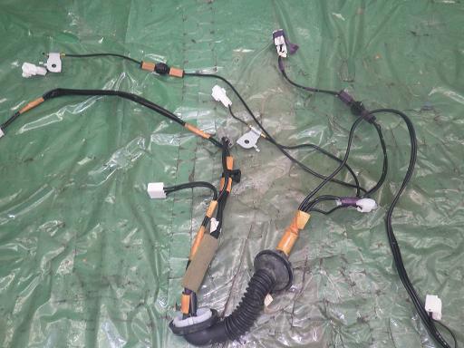 554229012　　クリックすると、もっと大きい画像を表示