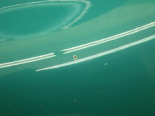 555258004　　クリックすると、もっと大きい画像を表示