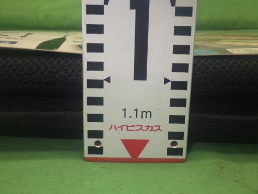 560003010　　クリックすると、もっと大きい画像を表示