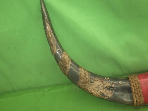 564345002　　クリックすると、もっと大きい画像を表示