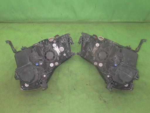 565427001　　クリックすると、もっと大きい画像を表示