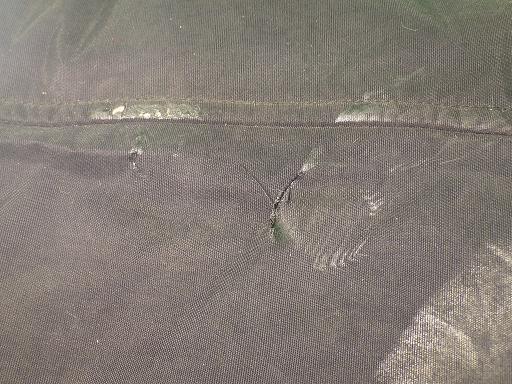 507058001　　クリックすると、もっと大きい画像を表示