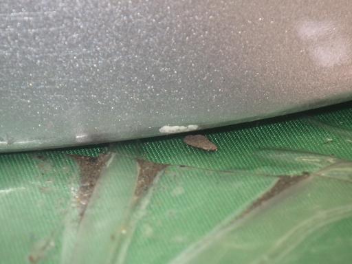 553396002　　クリックすると、もっと大きい画像を表示