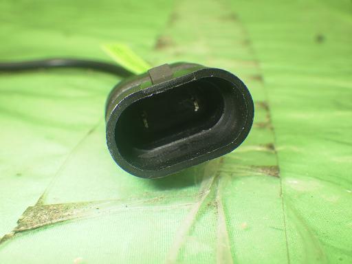 554773013　　クリックすると、もっと大きい画像を表示