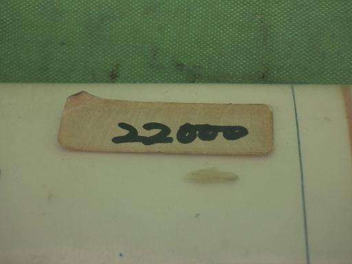 556201006　　クリックすると、もっと大きい画像を表示