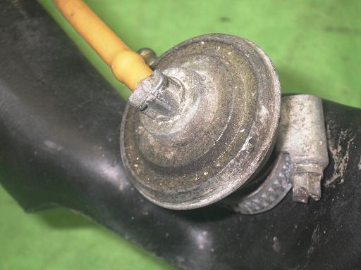 556504002　　クリックすると、もっと大きい画像を表示