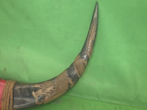 564345002　　クリックすると、もっと大きい画像を表示