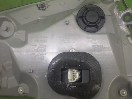 565565002　　クリックすると、もっと大きい画像を表示