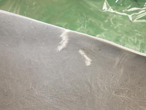 507934001　　クリックすると、もっと大きい画像を表示