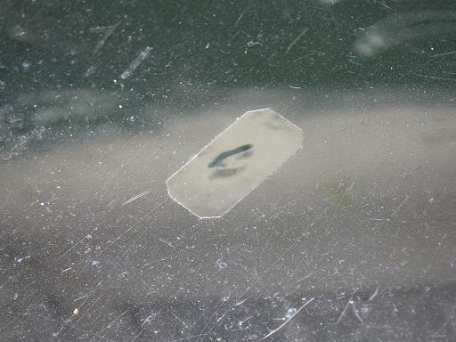 514528001　　クリックすると、もっと大きい画像を表示