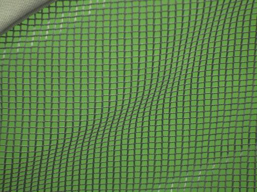 555054005　　クリックすると、もっと大きい画像を表示