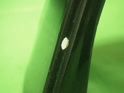 555505002　　クリックすると、もっと大きい画像を表示