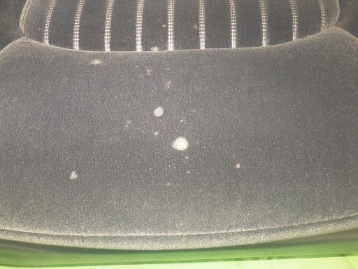 563675001　　クリックすると、もっと大きい画像を表示