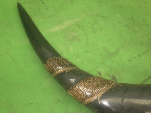 564345002　　クリックすると、もっと大きい画像を表示