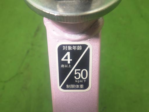 565491004　　クリックすると、もっと大きい画像を表示