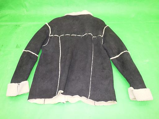 505262009　　クリックすると、もっと大きい画像を表示