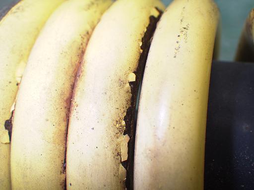 512242004　　クリックすると、もっと大きい画像を表示