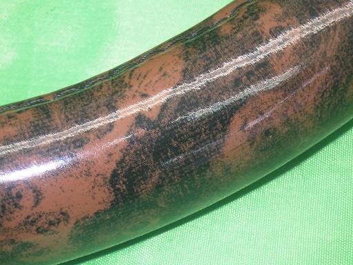 555240019　　クリックすると、もっと大きい画像を表示