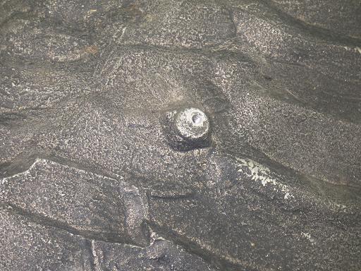 564345001　　クリックすると、もっと大きい画像を表示