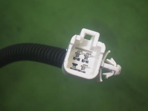 565265001　　クリックすると、もっと大きい画像を表示