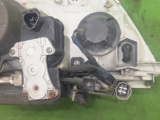 565295005　　クリックすると、もっと大きい画像を表示