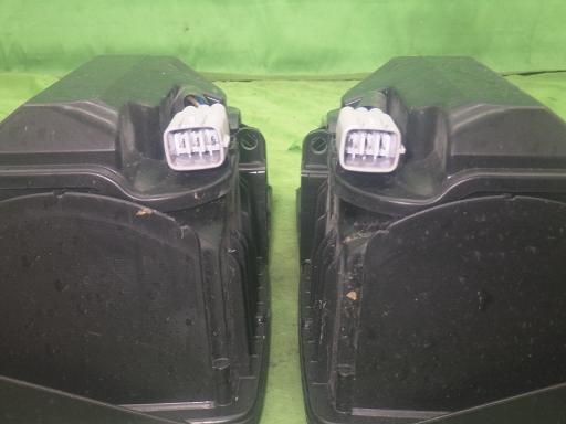 565345003　　クリックすると、もっと大きい画像を表示