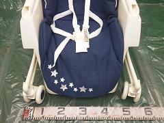 クリックすると拡大表示します