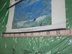 クリックすると拡大表示します