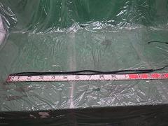 クリックすると拡大表示します