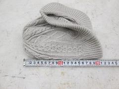 クリックすると拡大表示します