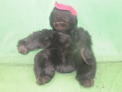 クリックすると拡大表示します