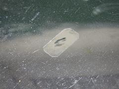 クリックすると拡大表示します