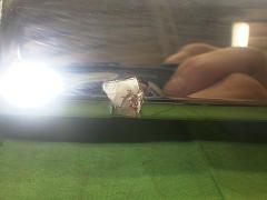 クリックすると拡大表示します