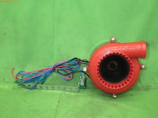 556787004　　クリックすると、もっと大きい画像を表示