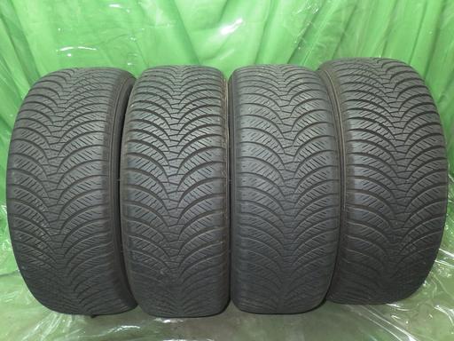 564020002　　クリックすると、もっと大きい画像を表示