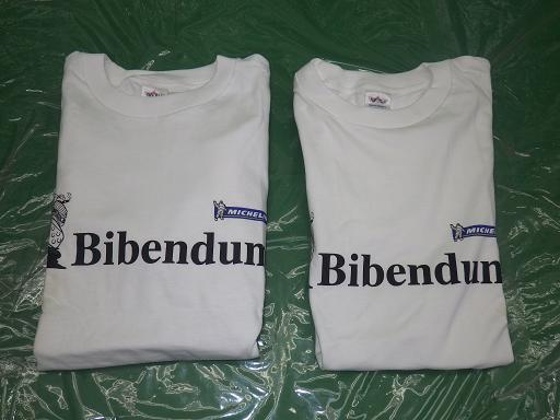 515503003　　クリックすると、もっと大きい画像を表示