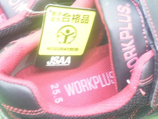 565903002　　クリックすると、もっと大きい画像を表示