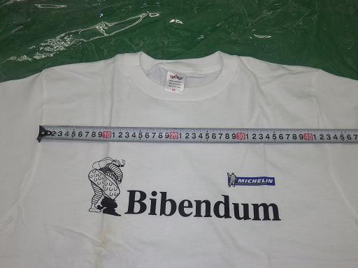 515503003　　クリックすると、もっと大きい画像を表示