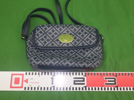 557861001　　クリックすると、もっと大きい画像を表示