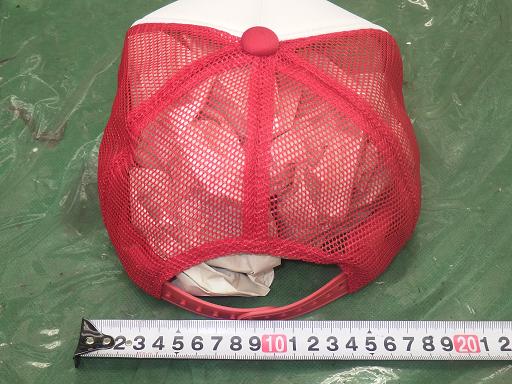 513326003　　クリックすると、もっと大きい画像を表示