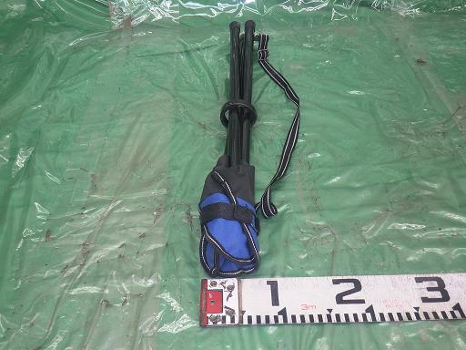 553719005　　クリックすると、もっと大きい画像を表示