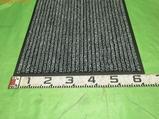 557176001　　クリックすると、もっと大きい画像を表示