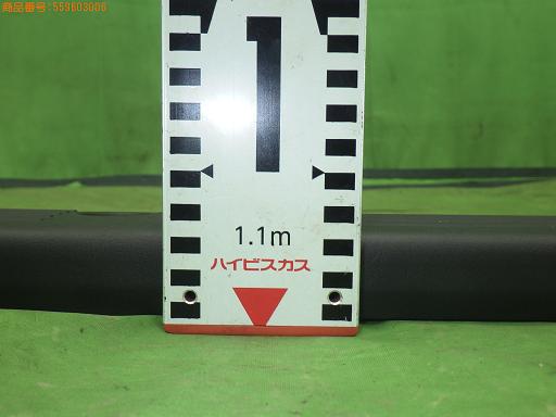 559603006　　クリックすると、もっと大きい画像を表示