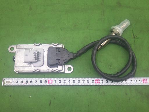 564239004　　クリックすると、もっと大きい画像を表示