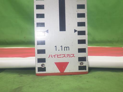 564245009　　クリックすると、もっと大きい画像を表示