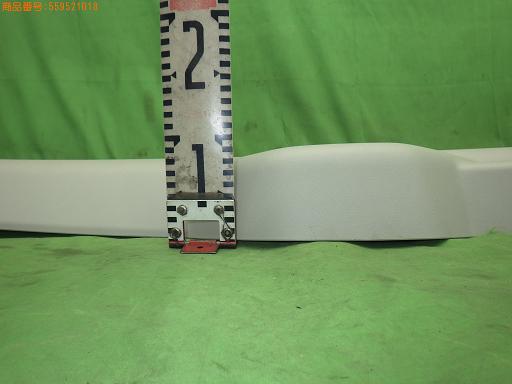 559521018　　クリックすると、もっと大きい画像を表示