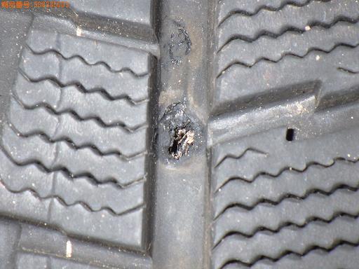 508385003　　クリックすると、もっと大きい画像を表示