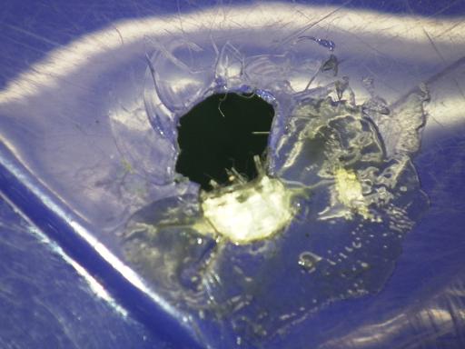 509415005　　クリックすると、もっと大きい画像を表示