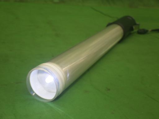 558410051　　クリックすると、もっと大きい画像を表示