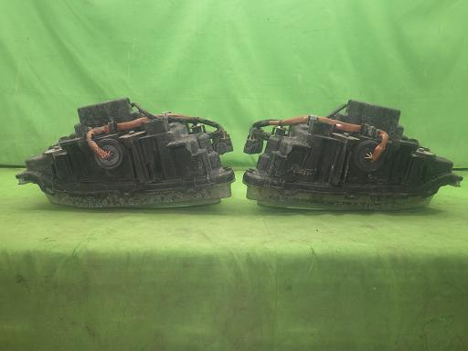 564945007　　クリックすると、もっと大きい画像を表示